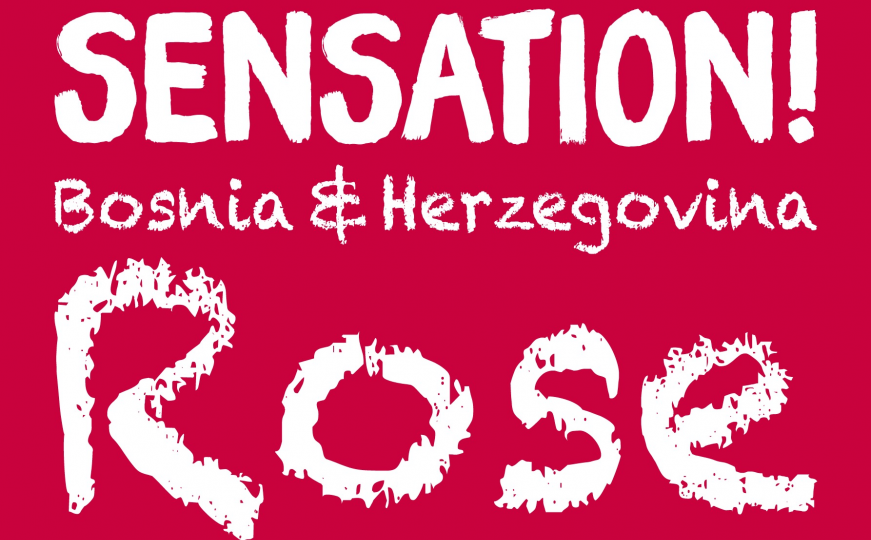 Nova senzacija, iz tradicije rođena – Sensation Bosnia & Herzegovina Rose